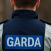 garda investigation