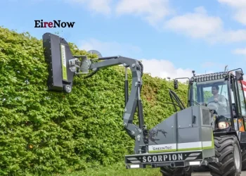 hedge cutting