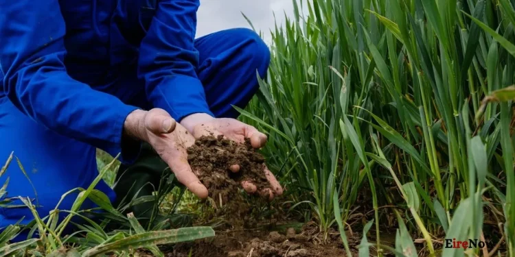 european commission recommends nitrates derogation extension for ireland