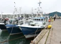 eu quota deal 'catastrophic' cuts threaten 2,300 irish jobs; government pledges support