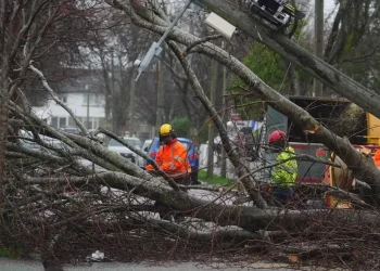 ‘extremely disappointing’ plans to protect ireland against extreme weather criticised