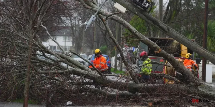 ‘extremely disappointing’ plans to protect ireland against extreme weather criticised