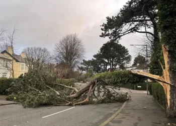 Ireland to Send Emergency Survival Guides to Every Home