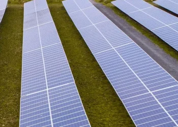June Heatwave Delivers Record-Breaking Solar Energy to Ireland's Power Grid
