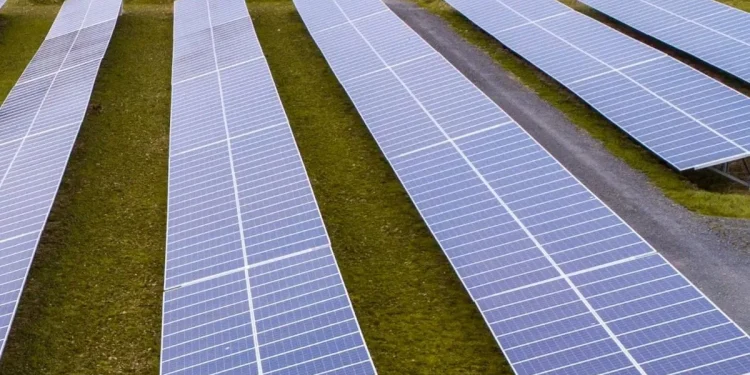 June Heatwave Delivers Record-Breaking Solar Energy to Ireland's Power Grid